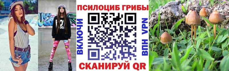 даркнет сайт  Махачкала  Галлюциногенные грибы мухоморы 